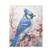 Blue Jay Perched på Gren med Cherry Blommars