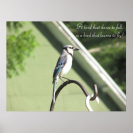 Blue Jay Photograph Inspirational Quote Poster