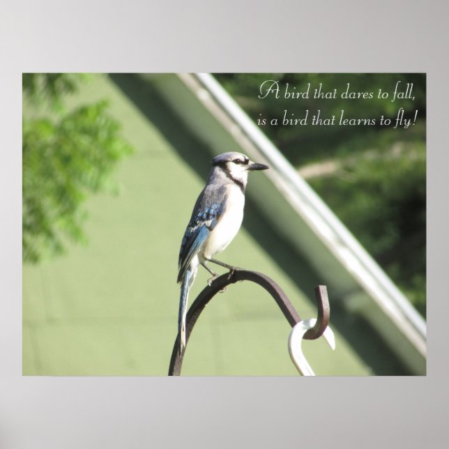 Blue Jay Photograph Inspirational Quote Poster (Framsidan)