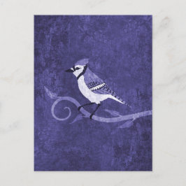 Blue Jay Postcard Vykort