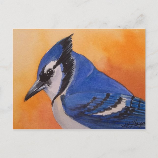 Blue Jay Postcard Vykort (Framsida)
