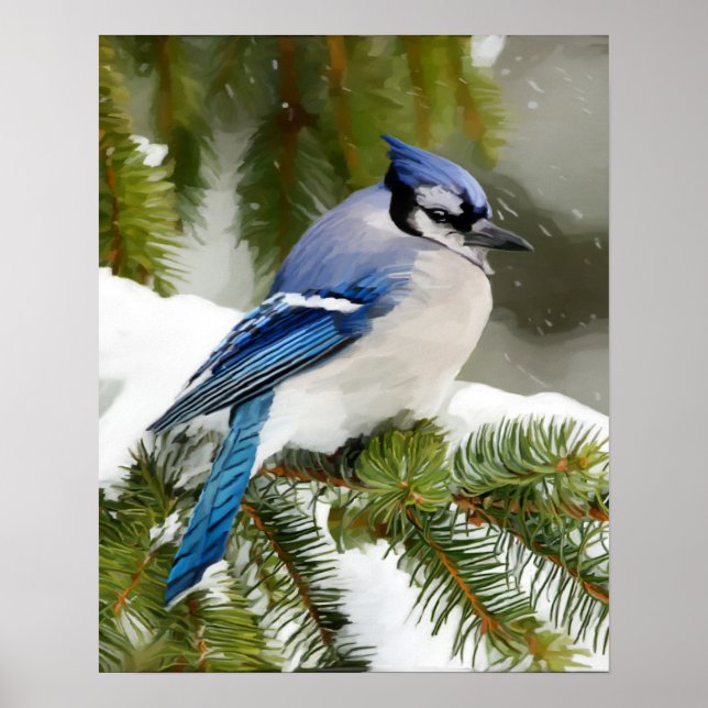 Blue Jay Poster (Framsidan)