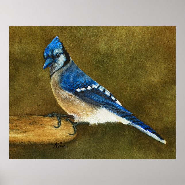 Blue Jay Print Poster (Framsidan)