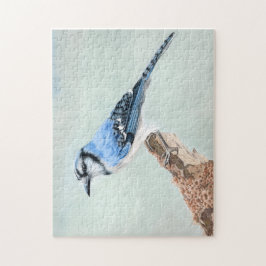 Blue Jay Pussel