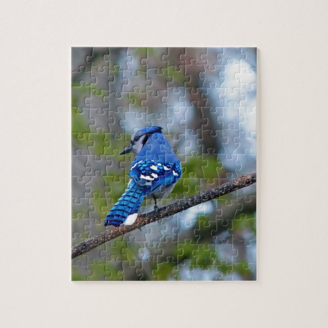 Blue Jay Pussel (Vertikal)