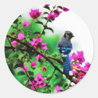 Blue Jay Runt Klistermärke