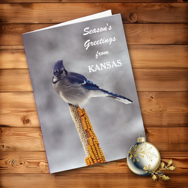 Blue Jay Season Greetings från Kansas Helgkort (Skapare uppladdad)