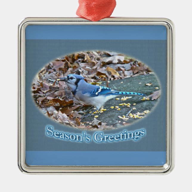 Blue Jay Season's Greetings Ornament (Framsidan)