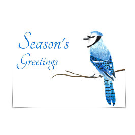 Blue Jay Season's Greetings Watercolor Card Kort