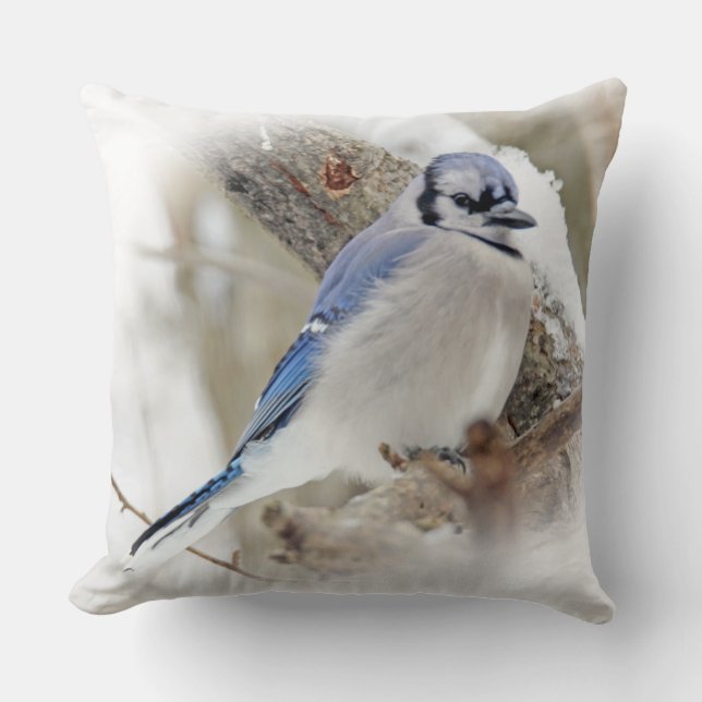 Blue Jay Songbird i Snö Kudde (Framsida)