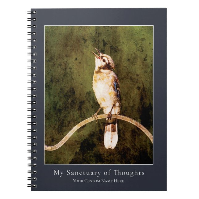 Blue Jay Songbird Notebook | Nature Art Journal Anteckningsbok (Framsidan)
