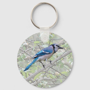 Blue Jay Songbird Nyckelring