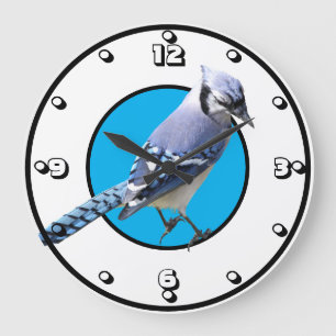 Blue Jay Stor Klocka