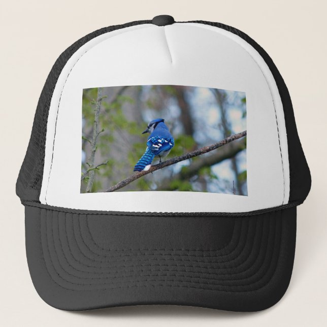 Blue Jay Truckerkeps (Framsida)