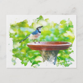 Blue Jay vid fågelbadets vattenfärg Vykort