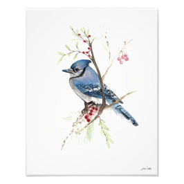 Blue Jay Watercolor Photo Print Fototryck