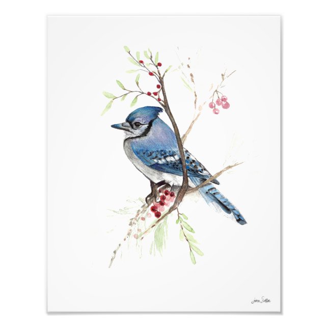 Blue Jay Watercolor Photo Print Fototryck (Framsidan)