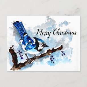 Blue Jay Winter Helgdag Card Helg Vykort