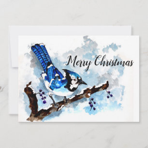Blue Jay Winter Julkort