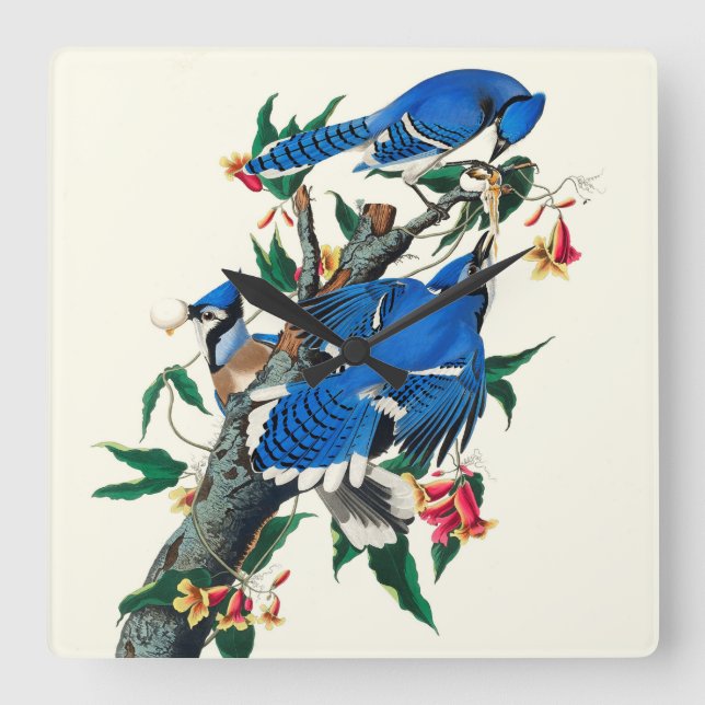 Blue Jays Ceramic Tile Fyrkantig Klocka (Framsida)