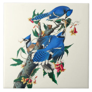 Blue Jays Ceramic Tile Kakelplatta