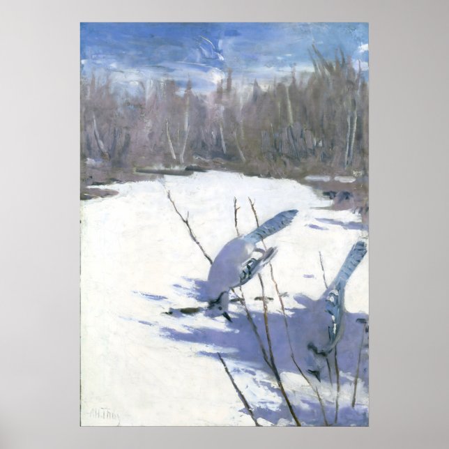 Blue Jays in Winter av Abbott Handerson Thayer Poster (Framsidan)