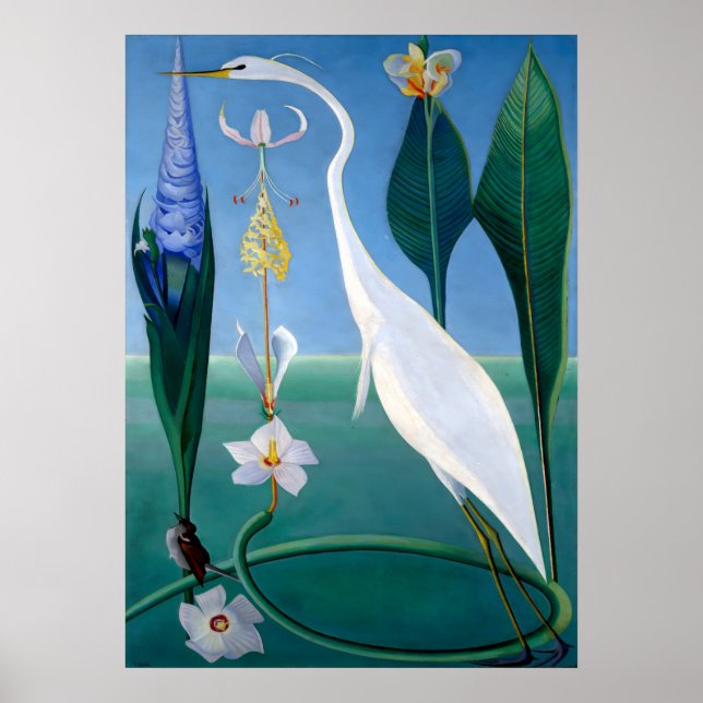 Blue Jays in Winter av Abbott Handerson Thayer Poster (Framsidan)