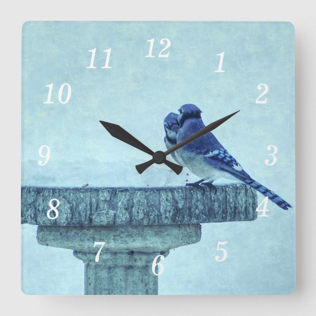 Blue Jays Winter Matar Painterly Wall Clock Fyrkantig Klocka (Framsida)