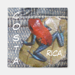 Blue Jeans Frog Anpassade Magnet