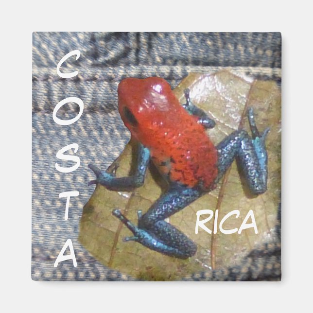 Blue Jeans Frog Anpassade Magnet (Framsidan)