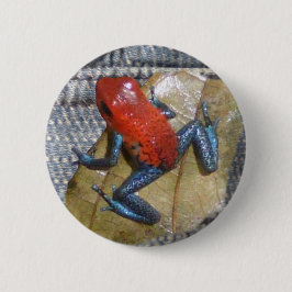 Blue Jeans Frog Button Knapp