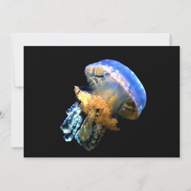 Blue Jellyfish (Framsida)