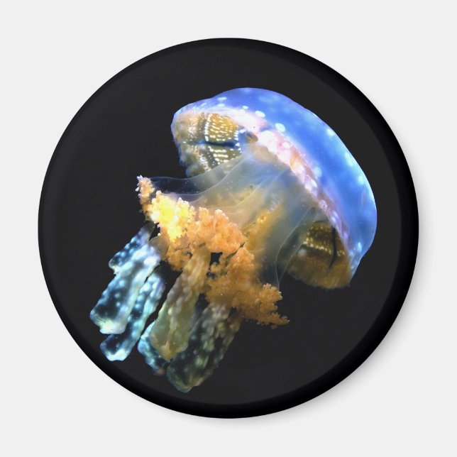 Blue Jellyfish Magnet (Framsidan)