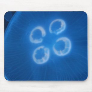 Blue Jellyfish Musmatta