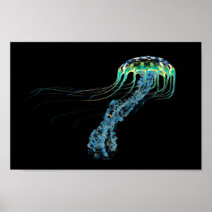 Blue Jellyfish Poster