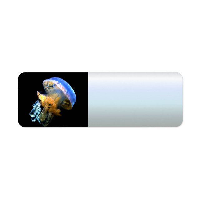 Blue Jellyfish Returadress Etikett (Framsidan)