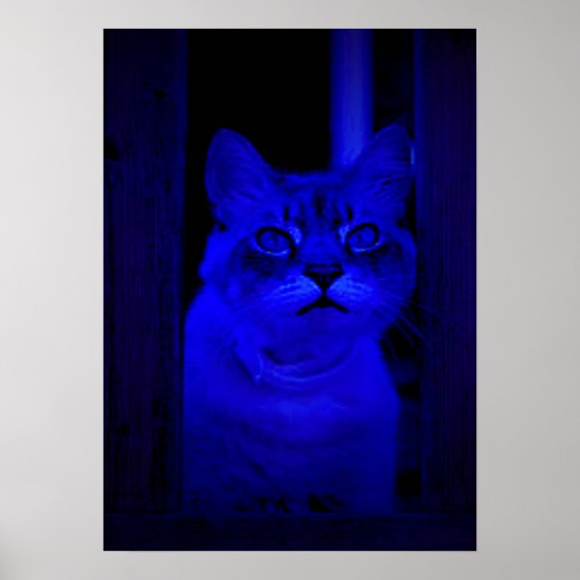 Blue Kattunge Poster (Framsidan)
