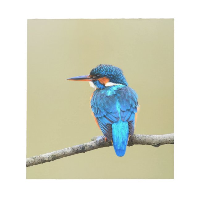 Blue Kingfisher Bird Anteckningsblock (Framsida)