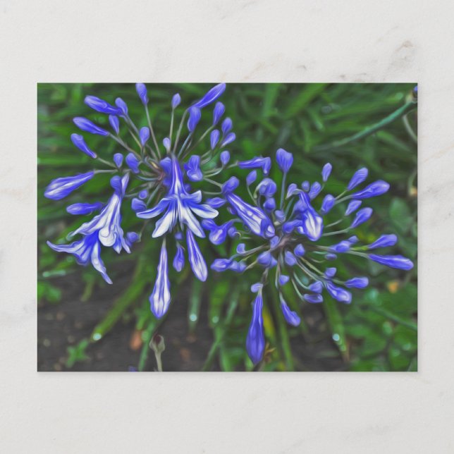 Blue klockor vykort (Framsida)