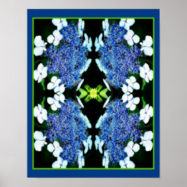 Blue Lacecap Hydrangea Flower Close Abstrakt Poster