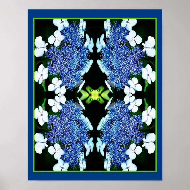 Blue Lacecap Hydrangea Flower Close Abstrakt Poster (Framsidan)