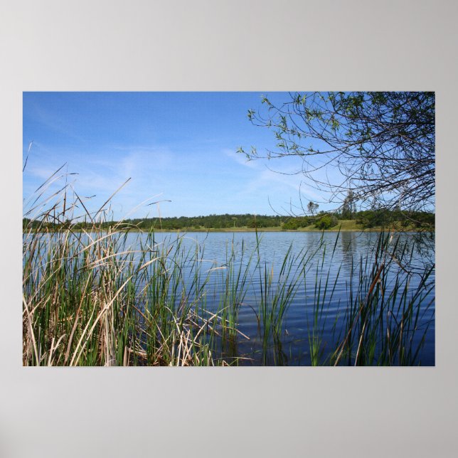 "Blue Lagoon" Poster (Framsidan)