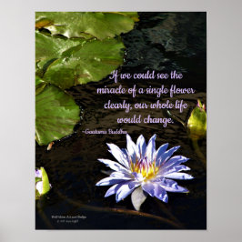 Blue Lavender Gult Center Vatten Lily Flower Poster