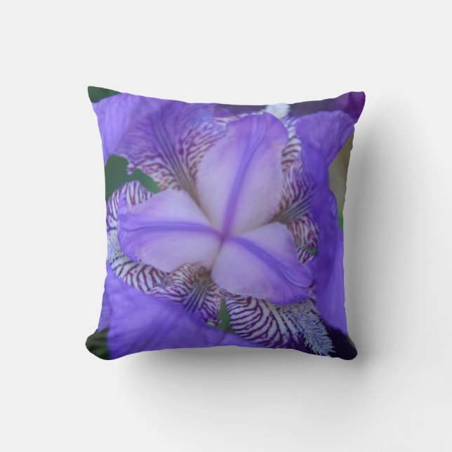 Blue Lila Iris Flower Kudde (Framsida)