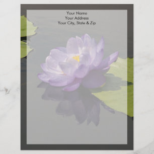Blue Lila Lotus Waterlily Flower Brevhuvud