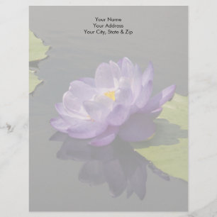 Blue Lila Lotus Waterlily Flower Brevhuvud