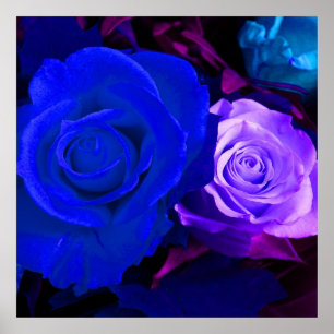 Blue Lila Ro Poster