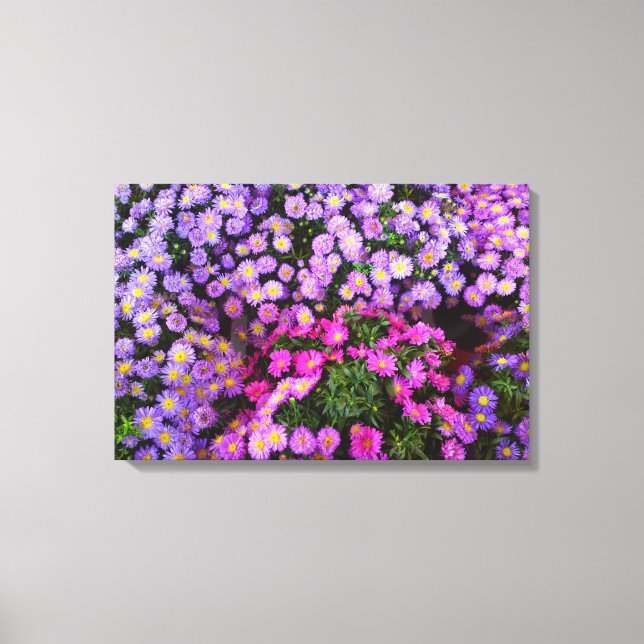 Blue Lila Rosa Morsa Flower Canvas (Framsida)