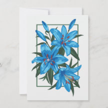 Blue Lilies. Flödesillustration