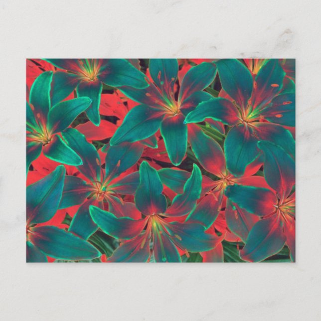 Blue Lilies vycard Vykort (Framsida)